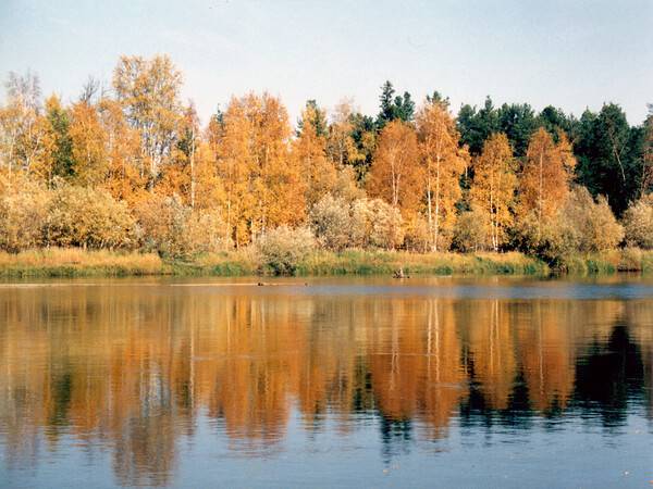 Богатства Севера