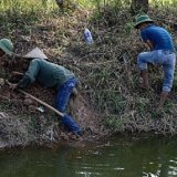 Охота на крыс во Вьетнаме