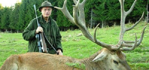 Охота в Болгарии