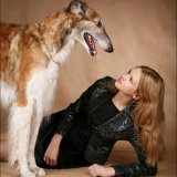 Русская псовая борзая