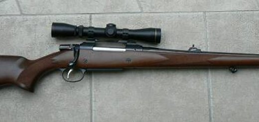 Винтовка cz 550