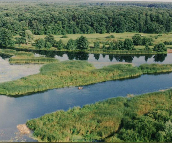 Воронежский заповедник