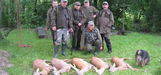 Охота в Польше