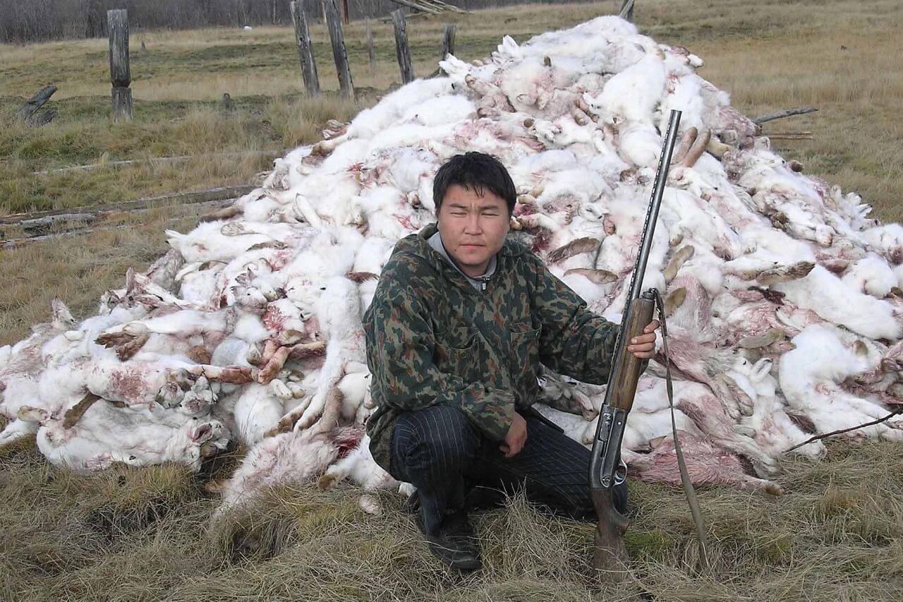 охота на зайца в иркутской области