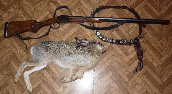 Ружье ИЖ-43