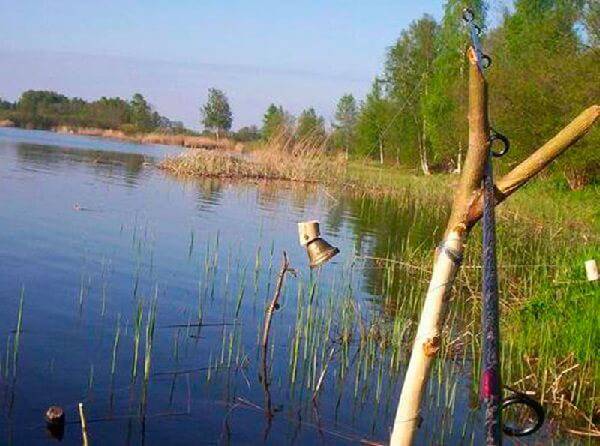Ловля сома на донку
