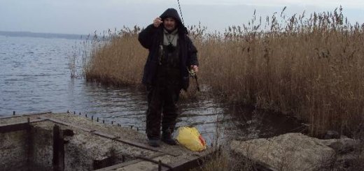 Ловля на водоеме без течения