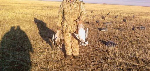 Охота в Казахстане на гуся