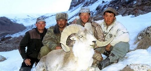 Охота в Киргизии