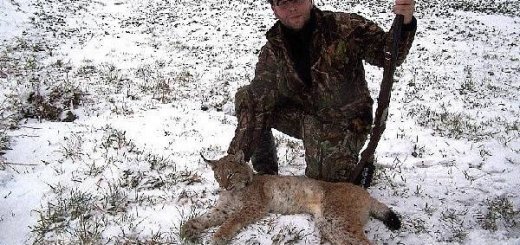 Охота в Латвии зимой