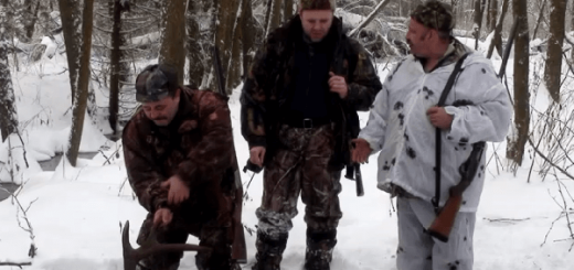 Охота в Украине