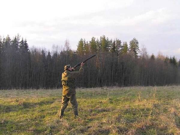 Охота на вальдшнепа