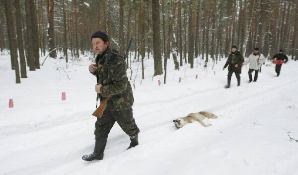 Охота на волка в степи