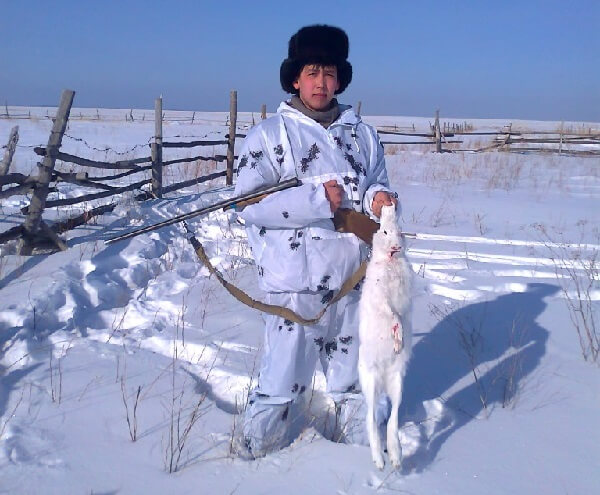 Охота на зайца-беляка