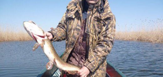 Рыбалка в Астрахани весной