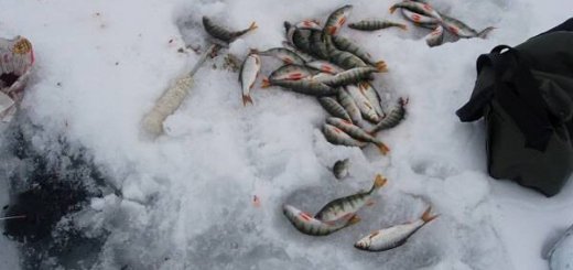 Рыбалка зимой на озеро Плещеево