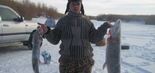 Рыбалка в Тургае