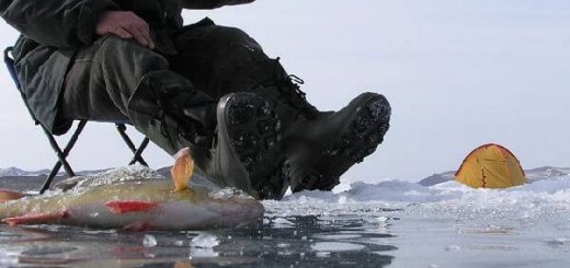 Зимняя рыбалка в Приморском крае