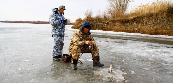 Ловля судака зимой на блесну