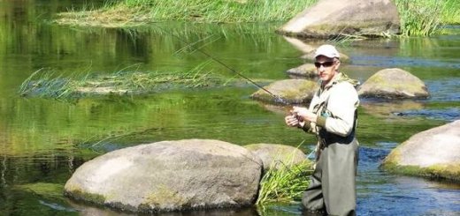 Рыбалка на реке Шелонь