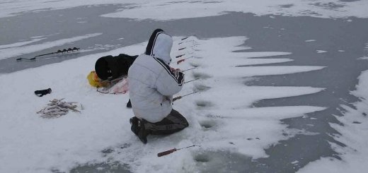 Ловля окуня зимой на Ладоге