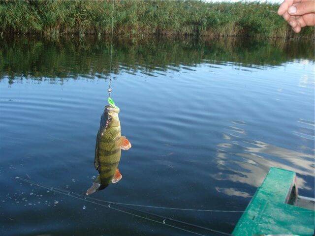 Рыбалка на реке Белая