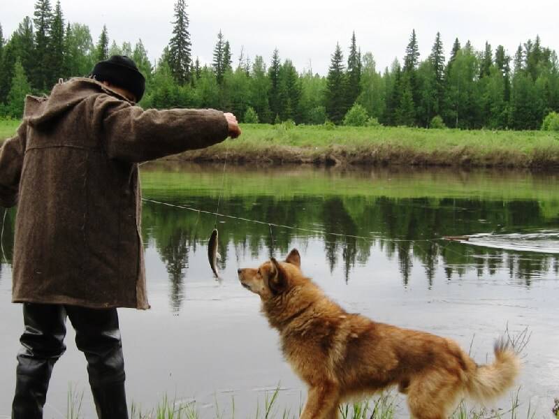 На рыбалку с собакой