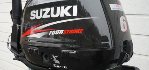 Suzuki DF 6 L