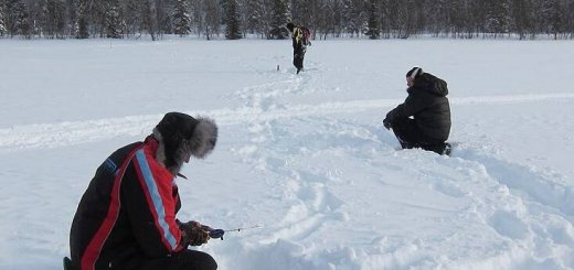 Ловля сига зимой