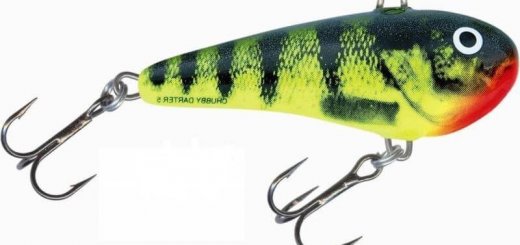 Воблер вертикальный Salmo Chubby Darter