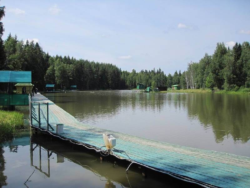 Рыбалка на платном водоёме Рыбалка на платном водоёме
