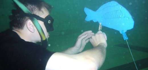 Обучение подводной охоте
