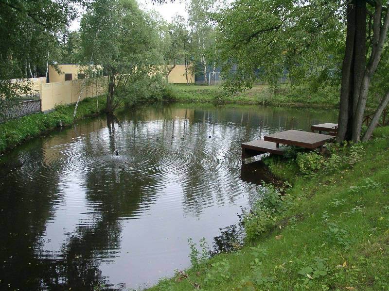 Бизнес-план рыбоводства