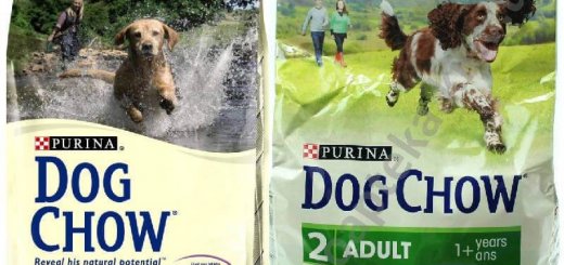 Dog Chow Adult