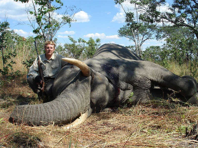 охота на слонов с копьями