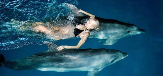 Роды с дельфинами