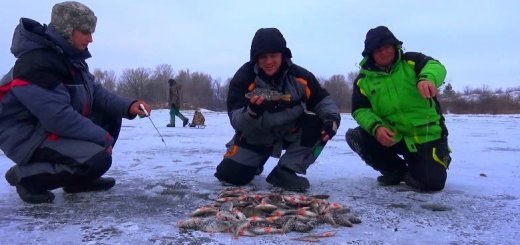 Ловля окуня зимой на Днепре