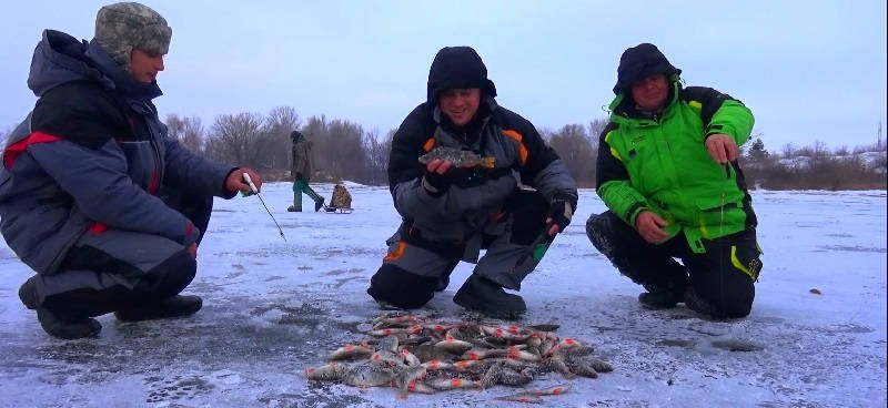 Ловля окуня зимой на Днепре 
