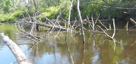 Ловля щуки в запрессованных водоёмах