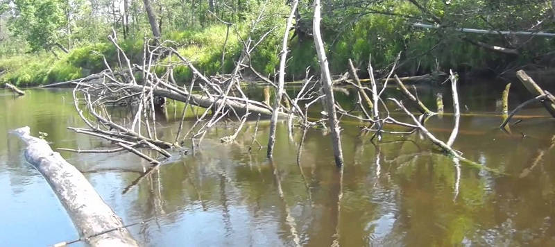 Ловля щуки в запрессованных водоёмах