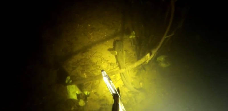 Ночная подводная охота на судака