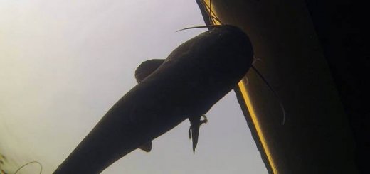 Подводная охота в Днепре
