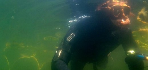 Подводная охота на озере Глубоком
