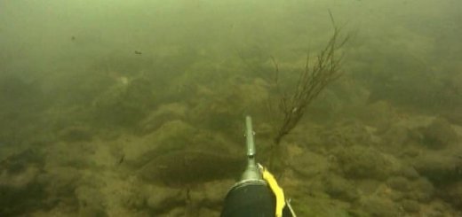 Подводная охота на зимней реке