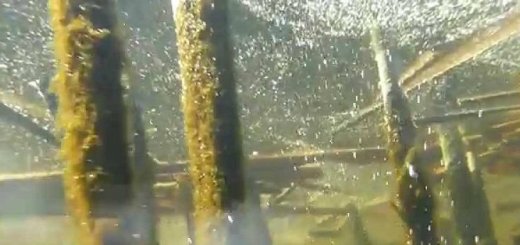 Подводная охота в Саратове видео