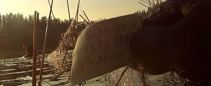 Случай на подводной охоте