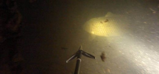 Подводная охота в темноте под завалом