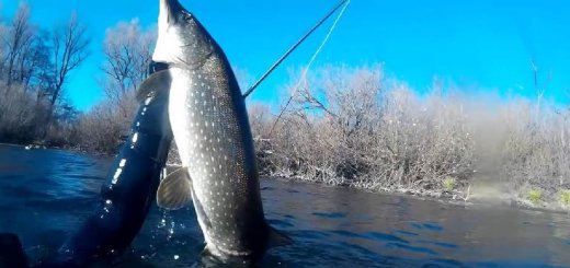 Подводная охота в чистой воде