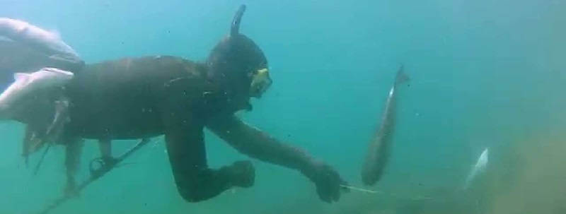 Подводная охота на Черном море весной