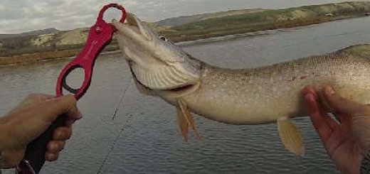 Рыбалка на Дону в ноябре